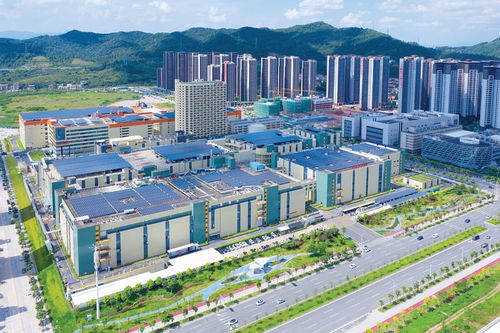 惠州出臺“1+4+N”實施方案，繪制高質量發展施工圖